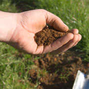 Soil Nutrition